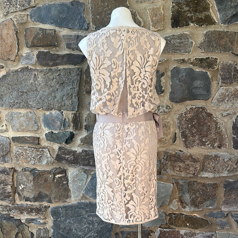 Tadashi Shoji Lace Overlay Dress Beige Nude Blouson Waist Size 8 Cocktail - Picture 5 of 7